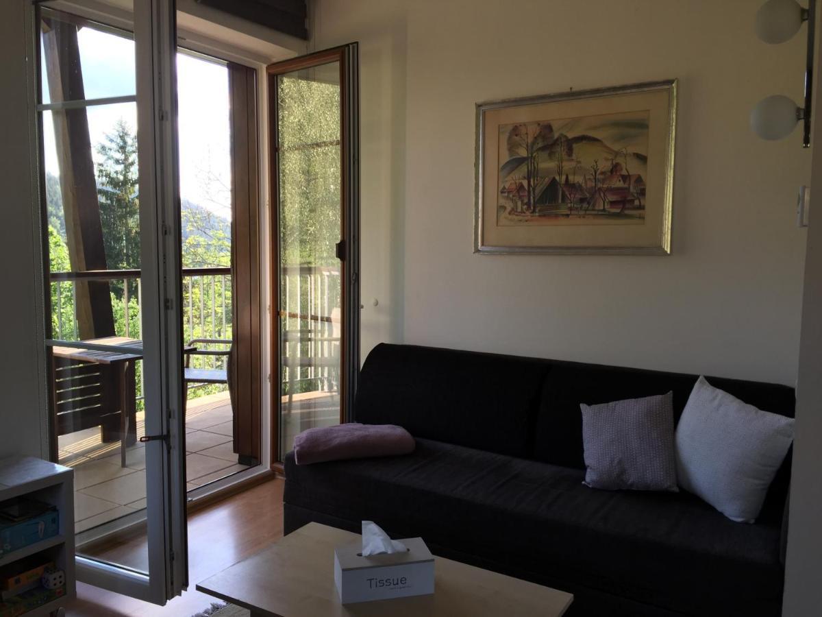 Apartman U Sjezdovky Velké Karlovice 외부 사진